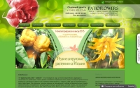 Фото Предлагаем купить дерево лимона в нашем интернет-магазине - patioflower.ru