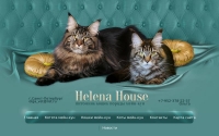 Фото Купить кота породы Мейн-кун. Подробности на сайте - helena-house.ru