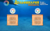 Фото Акварель: дельфинотерапия при ДЦП. Ждем Вас! - delfinarium.com.ua