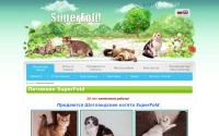 Фото Питомник «SuperFold» Шотландских и Британских кошек - www.superfold.ru