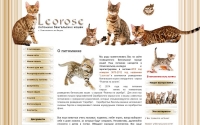 Фото «Leorose» питомник бенгальских кошек - www.bengal-kms.ru