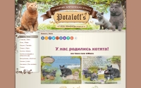 Фото Питомник британских кошек Potaloff*s - www.pbcats.ru
