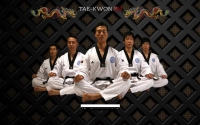 Фото Большой сайт олимпийского тхэквондо. - tae-kwon.ru