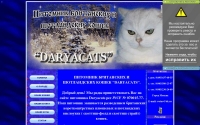 Фото Daryacats-питомник британских и шотландских кошек - www.daryacats.narod.ru