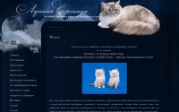 Фото Сибирские и невские маскарадные котята - lserenada.com