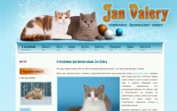 Фото Продажа британских котят - www.jan-valery.ru