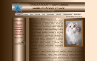 Фото Питомник шотландских кошек INGERMAN - fold-cats.ru