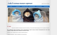 Фото Котята в хорошие руки бесплатно. Информация на сайте - koshki-sirotki.ru