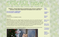Фото Du Soleil - питомник кошек драгоценных окрасов - www.mydusoleil.ru