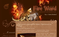 Фото FIRE WARD питомник бенгальских и шотландских кошек - fire-ward.ru