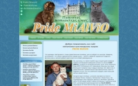 Фото Питомник шотландских кошек«Pride MiAlViO»г. Курск - pride-mialvio.ru