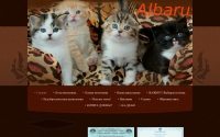 Фото Albarus питомник шотландских кошек - www.albarus.ru