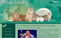 Фото Style Jasmine шотландские кошки - style-jasmine.ru