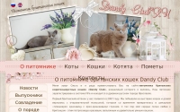 Фото Британские кошки Ярославль. Питомник британских кошек Dandy Club. - dandyclub.ru