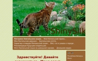 Фото Купить бенгальского котёнка в Минске - www.bengalminsk.com