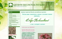 Фото DESERT ROSE Интернет магазин семена адениума - proluba.ru