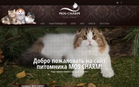 Фото Питомник Cattery MOS CHARM - sfs-cat.ru