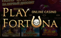Фото Как начать играть в Плей Фортуна казино? - fortunacasino.info