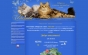 Фото Питомник Сибирских и невских маскарадных кошек